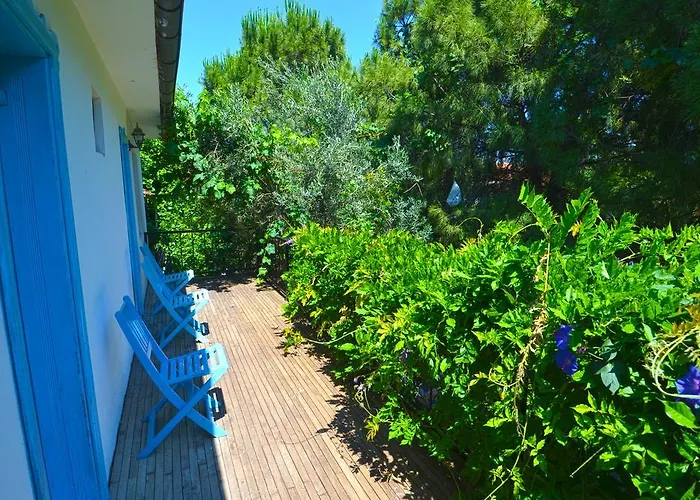 Jenny's House Hotel 3*