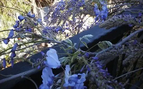 Jenny's House Hotel Selimiye (Aegean)